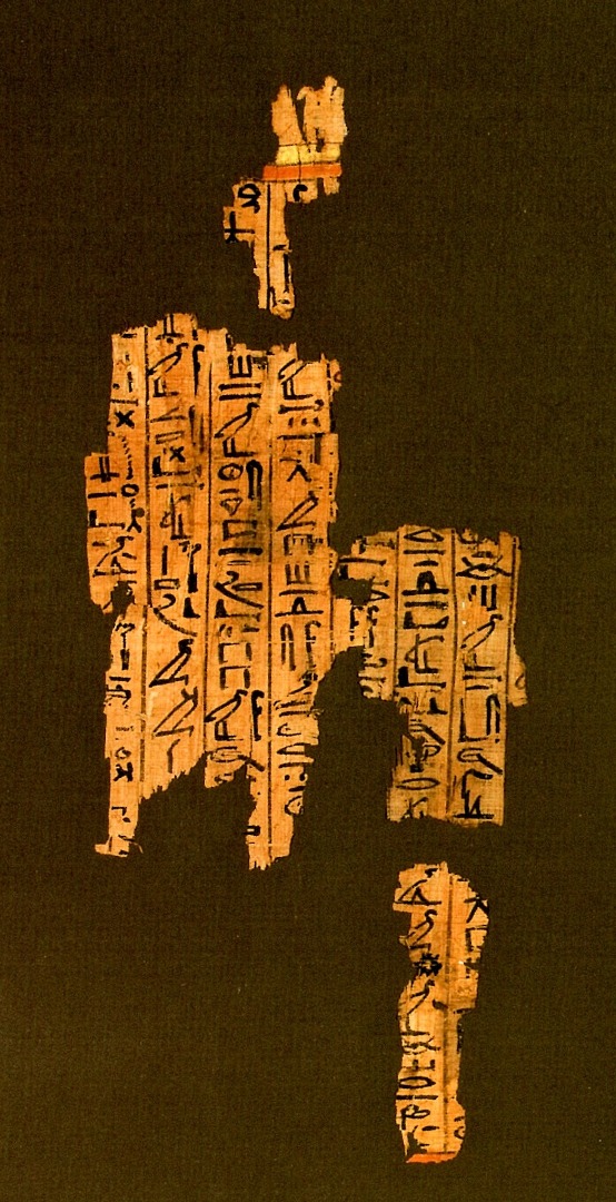 Papiro geroglifico della collezione leccese.